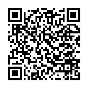 Lien vers votre campagne QRCode - Collecte de fonds