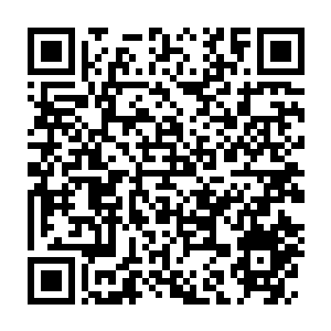 Lien vers votre campagne QRCode - Collecte de fonds