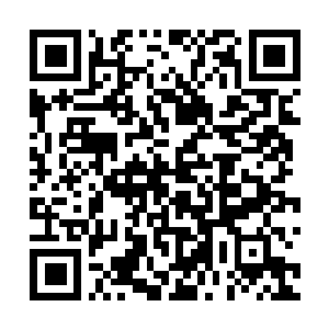 Lien vers votre campagne QRCode - Collecte de fonds