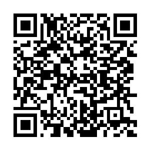 Lien vers votre campagne QRCode - Collecte de fonds