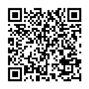 Lien vers votre campagne QRCode - Collecte de fonds