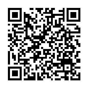 Lien vers votre campagne QRCode - Collecte de fonds