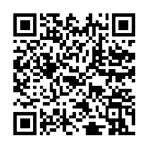 Lien vers votre campagne QRCode - Collecte de fonds