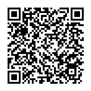 Lien vers votre campagne QRCode - Collecte de fonds