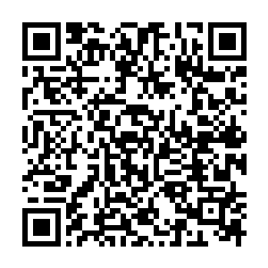 Lien vers votre campagne QRCode - Collecte de fonds