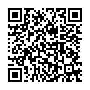 Lien vers votre campagne QRCode - Collecte de fonds