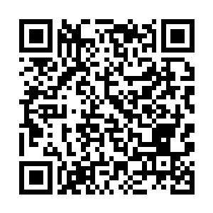 Lien vers votre campagne QRCode - Collecte de fonds