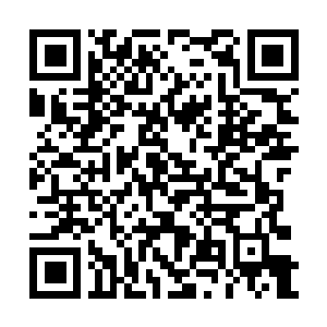 Lien vers votre campagne QRCode - Collecte de fonds