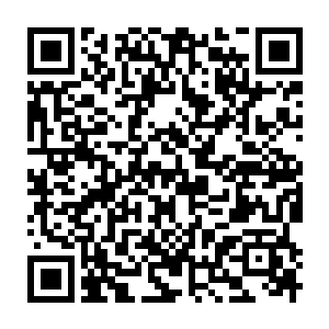 Lien vers votre campagne QRCode - Collecte de fonds