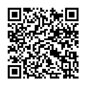 Lien vers votre campagne QRCode - Collecte de fonds