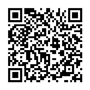 Lien vers votre campagne QRCode - Collecte de fonds
