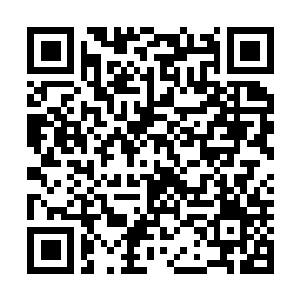 Lien vers votre campagne QRCode - Collecte de fonds