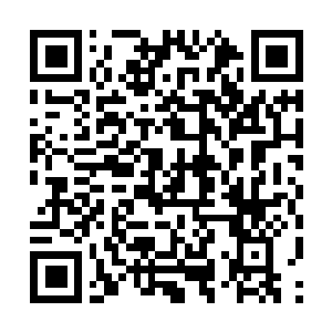 Lien vers votre campagne QRCode - Collecte de fonds