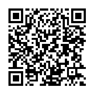 Lien vers votre campagne QRCode - Collecte de fonds