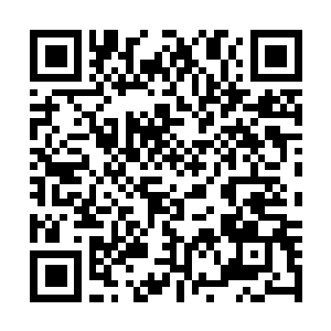 Lien vers votre campagne QRCode - Collecte de fonds