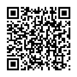 Lien vers votre campagne QRCode - Collecte de fonds