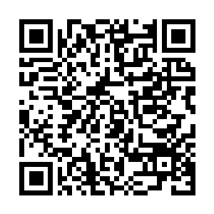 Lien vers votre campagne QRCode - Collecte de fonds