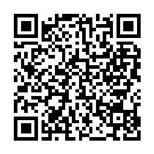Lien vers votre campagne QRCode - Collecte de fonds