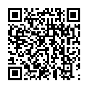 Lien vers votre campagne QRCode - Collecte de fonds