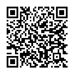 Lien vers votre campagne QRCode - Collecte de fonds