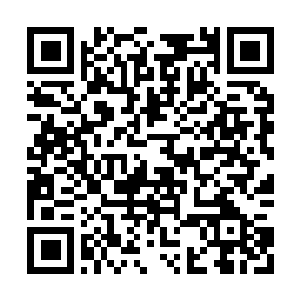 Lien vers votre campagne QRCode - Collecte de fonds