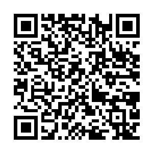 Lien vers votre campagne QRCode - Collecte de fonds