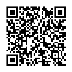Lien vers votre campagne QRCode - Collecte de fonds