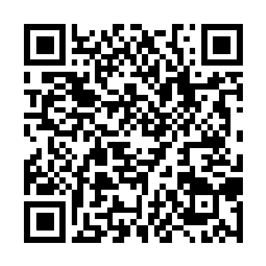 Lien vers votre campagne QRCode - Collecte de fonds
