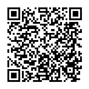 Lien vers votre campagne QRCode - Collecte de fonds