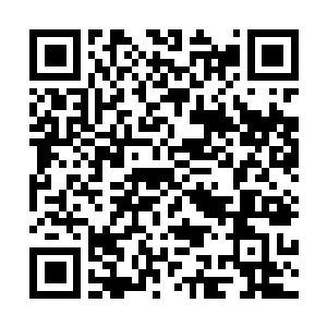 Lien vers votre campagne QRCode - Collecte de fonds
