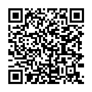 Lien vers votre campagne QRCode - Collecte de fonds