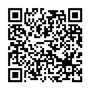 Lien vers votre campagne QRCode - Collecte de fonds