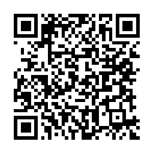 Lien vers votre campagne QRCode - Collecte de fonds