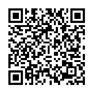 Lien vers votre campagne QRCode - Collecte de fonds