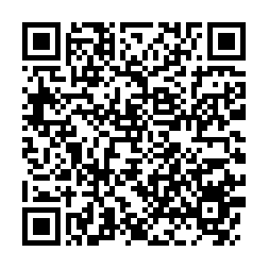 Lien vers votre campagne QRCode - Collecte de fonds