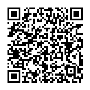 Lien vers votre campagne QRCode - Collecte de fonds