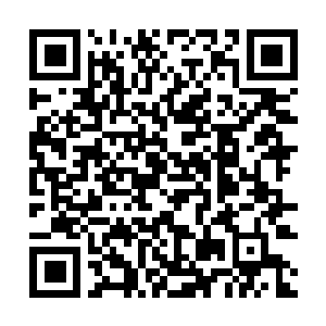 Lien vers votre campagne QRCode - Collecte de fonds