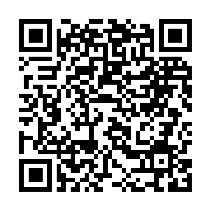 Lien vers votre campagne QRCode - Collecte de fonds
