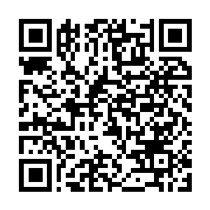 Lien vers votre campagne QRCode - Collecte de fonds