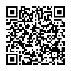 Lien vers votre campagne QRCode - Collecte de fonds