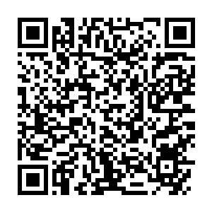 Lien vers votre campagne QRCode - Collecte de fonds