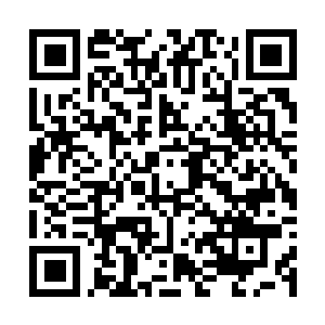 Lien vers votre campagne QRCode - Collecte de fonds