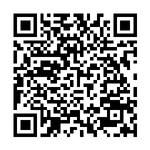Lien vers votre campagne QRCode - Collecte de fonds