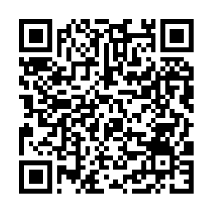 Lien vers votre campagne QRCode - Collecte de fonds