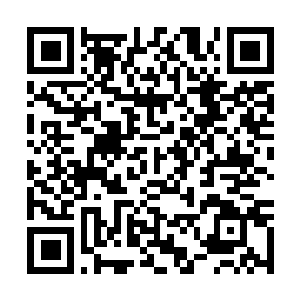 Lien vers votre campagne QRCode - Collecte de fonds