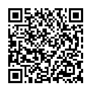 Lien vers votre campagne QRCode - Collecte de fonds