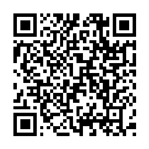 Lien vers votre campagne QRCode - Collecte de fonds