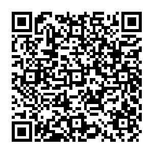 Lien vers votre campagne QRCode - Collecte de fonds