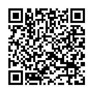 Lien vers votre campagne QRCode - Collecte de fonds