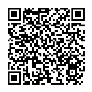 Lien vers votre campagne QRCode - Collecte de fonds